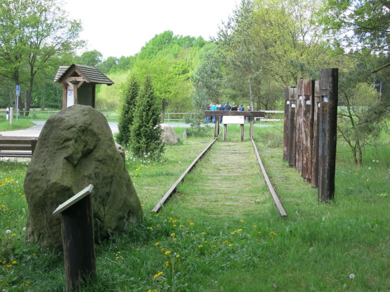 ZWNEGI16